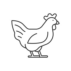 Chicken icon. High quality black vector illustration.