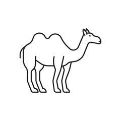 Camel icon. High quality black vector illustration.