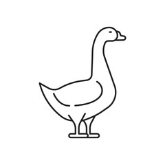Goose icon. High quality black vector illustration.