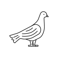 Dove icon. High quality black vector illustration.