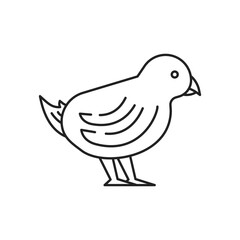 Small chicken icon. High quality black vector illustration.