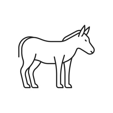 Donkey icon. High quality black vector illustration.