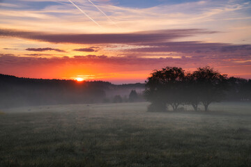 Sunrise over a neighboring forest with meadow in the foreground. Pasture landscape
