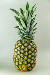 Fototapeta premium Pineapple isolated. One whole pineapple with green leaves isolated on green background