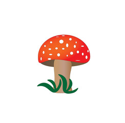 Fly agaric mushroom with green sprouts near the trunk. Vector illustration of cartoon mushroom isolated on white background
