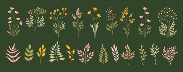 Set of different flowers. Perfect for herbal medicine and organic cosmetics. Vector.