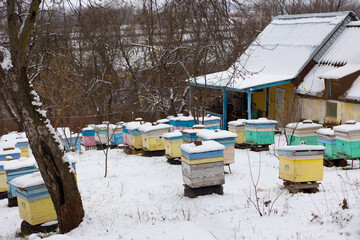 Bee hives in the apiary in winter garden under the snow. Homemade wooden houses for bees in russian...