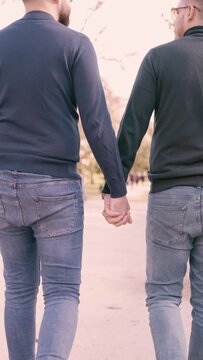gay couple in the park, proudly holding hands, laughing and happy