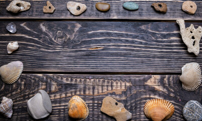 Seashells and pebbles on a wooden background with a place to copy.