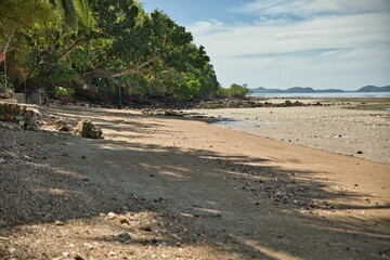 Wide sandy beach in Coron, Philippines, with palm trees and other trees growing densely along it.