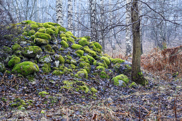 pile of stones covered in green moss