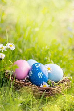 Nest with Easter eggs in grass on a sunny spring day - Easter decoration, background  -  Copy space
