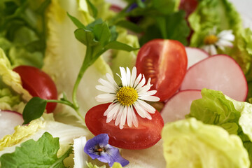 Fresh vegetable salad with wild edible plants - common daisy, chickweed, nipplewort
