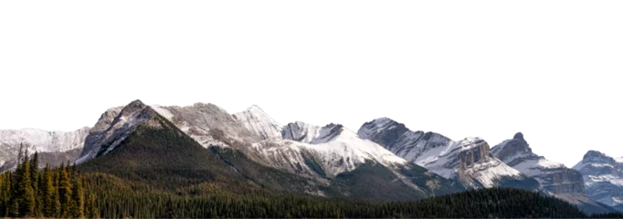 Poster Rocky mountains with snow covered in summer © Mumemories