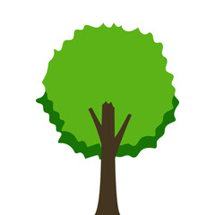 Tree Illustration