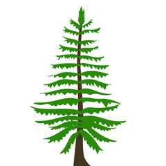 Tree Illustration