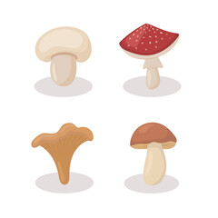 Set of different mushrooms. Cartoon, flat style illustration.