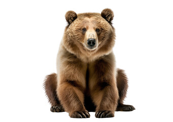 Fototapeta premium Grizzly bear isolated on white, transparent background, PNG, generative ai 
