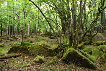 Climbing Mt. Keicho, Tochigi, Japan