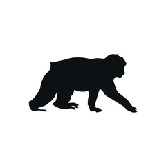 Monkey vector silhouette, wild animal flat design isolated on white background.
