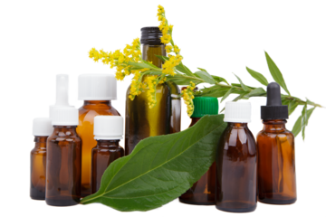 Group of vessels, pharmaceutical bottles with herbal medicines, alternative medicine concept.