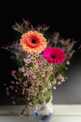 Peach and pink-colored Barberton daisy flower heads, waxflower, and Salt Cedar plant flowers in a vase for home decor illuminated by the sun rays on the dark wall backgrounds, selective focus