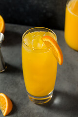 Boozy Cold Vodka Screwdriver Cocktail