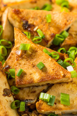 Asian Homemade Lemongrass Tofu Dish
