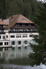 Hotel in the middle of the black forest