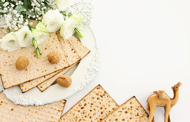 Pesah celebration concept (jewish Passover holiday)