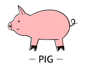 Pig is a domestic animal. Vector illustration of a pig isolated on a white background. Doodle style, side view