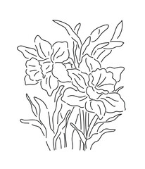Bouquet of daffodil flowers,flower line art,sketch flower