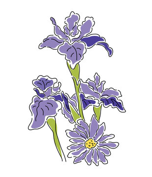 purple irises floral arrangement on white clip art preview