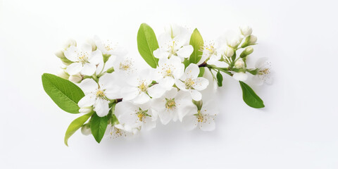 Obraz premium The Pure Beauty of Apple Blossoms Takes Your Breath Away. AI Generated Art. Wallpaper, Whitespace, Concept Art, Beauty.