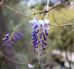 Park Quell by Antoni Gaudi, Barcelona, Spain