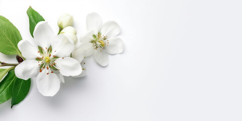 Obraz premium Escape to Romancelandia with the Delicate Beauty of Apple Blossoms. AI Generated Art. Wallpaper, Background, Whitespace.