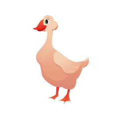 Cute Goose Isolated on a White. Poultry. Farm Animal. Vector Illustration in Cartoon Style.