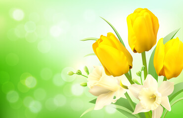 Spring delicate banner with white daffodils and yellow tulips. Template for greeting, invitation, advertising. Vector illustration.