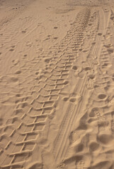 Sand of a desert with car trail, Fuerteventura