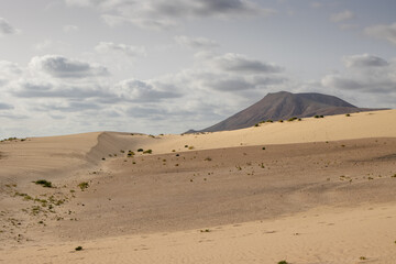 Fototapeta na wymiar Desert and mountail, Corralejo, Fuerteventura