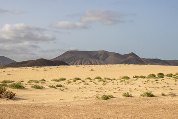 Fototapeta na wymiar Desert and mountail, Corralejo, Fuerteventura