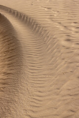 Wavy texture of a sand, Fuerteventura