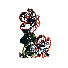 Color sketch of a shoe flower with transparent background