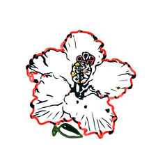 Color sketch of a shoe flower with transparent background