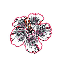 Color sketch of a shoe flower with transparent background