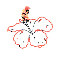 Color sketch of a shoe flower with transparent background