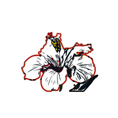 Color sketch of a shoe flower with transparent background