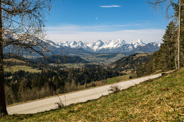 Spring Vibes with sunny landscape