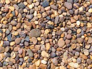 Background of pebbles. Wet stones. Multicolored pebbles. River shore.