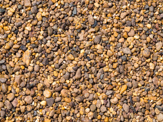 Background of pebbles. Wet stones. Multicolored pebbles. River shore.